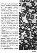 giornale/RML0021505/1939/unico/00000659