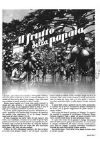 giornale/RML0021505/1940/unico/00000031