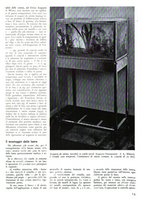 giornale/RML0022062/1941/unico/00000037
