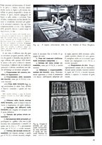 giornale/RML0022062/1942/unico/00000115