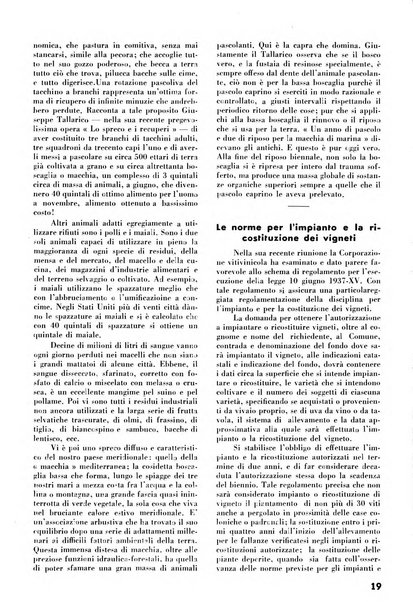 La rivista di tecnica agraria