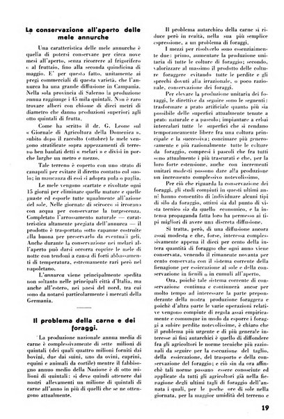 La rivista di tecnica agraria