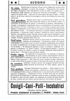 giornale/RML0022094/1925/unico/00000037