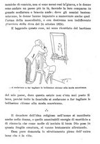 giornale/RML0022094/1925/unico/00000076