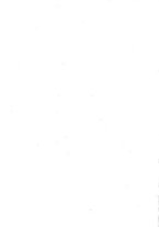 giornale/RML0022175/1920/unico/00000010