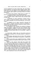 giornale/RML0022175/1920/unico/00000065