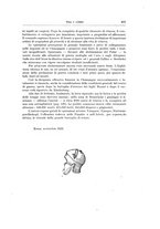 giornale/RML0022175/1923/V.4.2/00000427