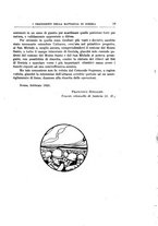 giornale/RML0022175/1925/V.6.1/00000029