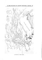 giornale/RML0022175/1925/V.6.2/00000021