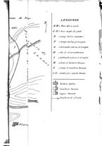 giornale/RML0022175/1925/V.6.2/00000099