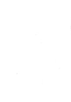 giornale/RML0022175/1925/V.6.2/00000211