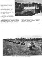 giornale/RML0022370/1938/unico/00000203