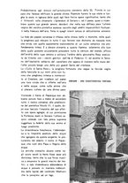 giornale/RML0022370/1942/unico/00000151