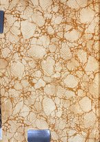 giornale/RML0022730/1919/unico/00000002