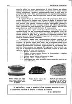 giornale/RML0022733/1940-1941/unico/00000228