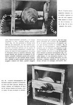 giornale/RML0022733/1940-1941/unico/00000349