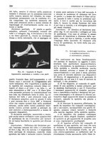 giornale/RML0022733/1940-1941/unico/00000384