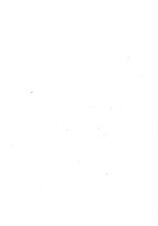 giornale/RML0022957/1933/unico/00000063