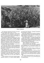 giornale/RML0022982/1938/unico/00000261