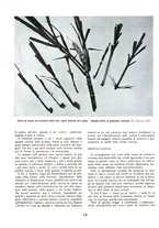 giornale/RML0022982/1938/unico/00000336