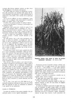 giornale/RML0022982/1938/unico/00000337