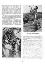 giornale/RML0022982/1938/unico/00000345