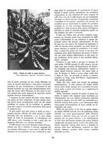 giornale/RML0022982/1938/unico/00000358