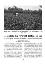 giornale/RML0022982/1939/unico/00000014