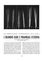 giornale/RML0022982/1939/unico/00000020