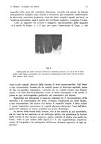 giornale/RML0023062/1931/unico/00000033