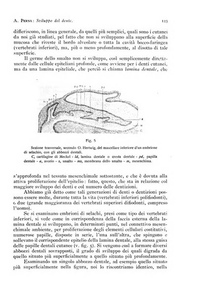 Annali di clinica odontoiatrica e dello Istituto superiore George Eastmann