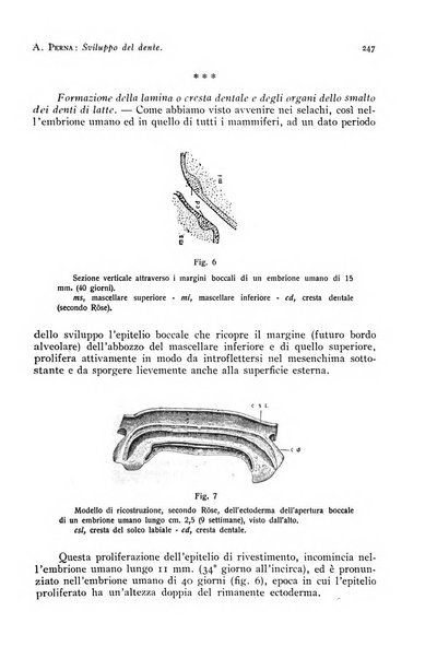 Annali di clinica odontoiatrica e dello Istituto superiore George Eastmann