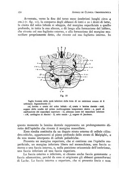 Annali di clinica odontoiatrica e dello Istituto superiore George Eastmann