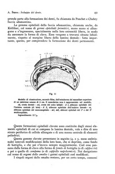 Annali di clinica odontoiatrica e dello Istituto superiore George Eastmann