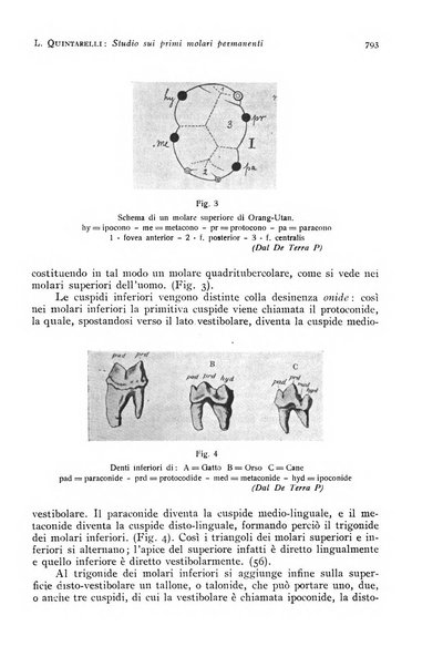 Annali di clinica odontoiatrica e dello Istituto superiore George Eastmann