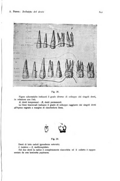 Annali di clinica odontoiatrica e dello Istituto superiore George Eastmann