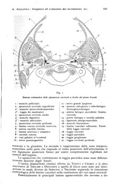 Annali di clinica odontoiatrica e dello Istituto superiore George Eastmann