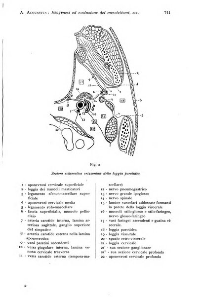 Annali di clinica odontoiatrica e dello Istituto superiore George Eastmann