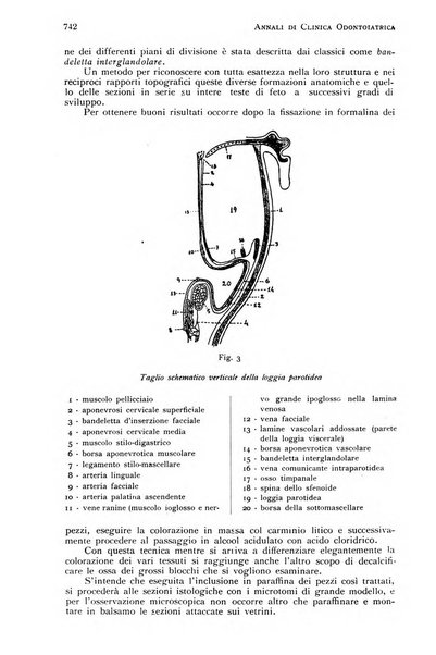 Annali di clinica odontoiatrica e dello Istituto superiore George Eastmann