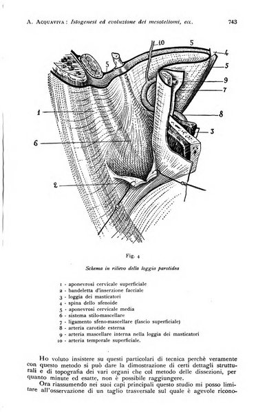 Annali di clinica odontoiatrica e dello Istituto superiore George Eastmann