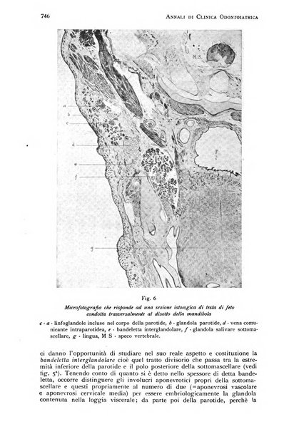 Annali di clinica odontoiatrica e dello Istituto superiore George Eastmann