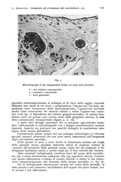 Annali di clinica odontoiatrica e dello Istituto superiore George Eastmann