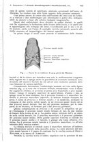 giornale/RML0023062/1933/unico/00001155