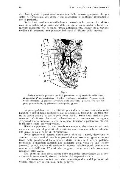 Annali di clinica odontoiatrica e dello Istituto superiore George Eastmann