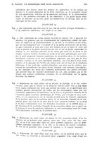 giornale/RML0023062/1934/unico/00000541