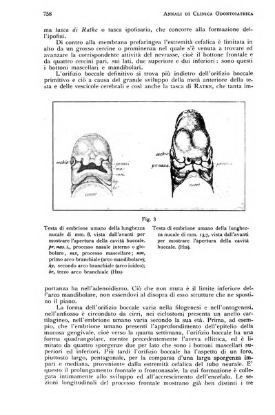 Annali di clinica odontoiatrica e dello Istituto superiore George Eastmann