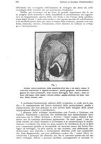 giornale/RML0023062/1934/unico/00000998
