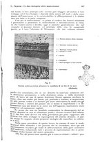 giornale/RML0023062/1934/unico/00000999