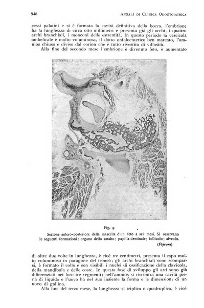 Annali di clinica odontoiatrica e dello Istituto superiore George Eastmann