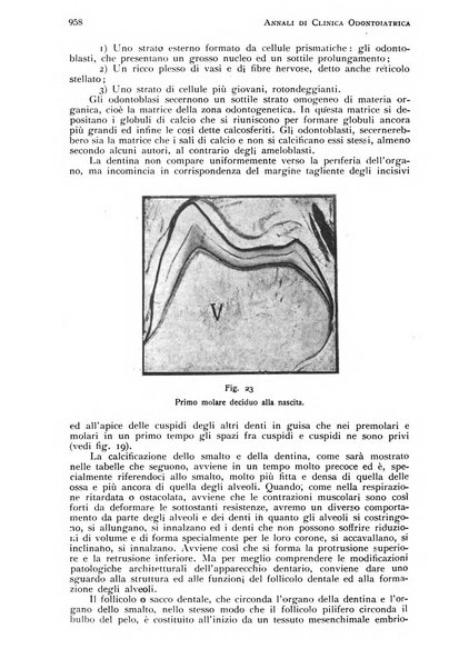 Annali di clinica odontoiatrica e dello Istituto superiore George Eastmann